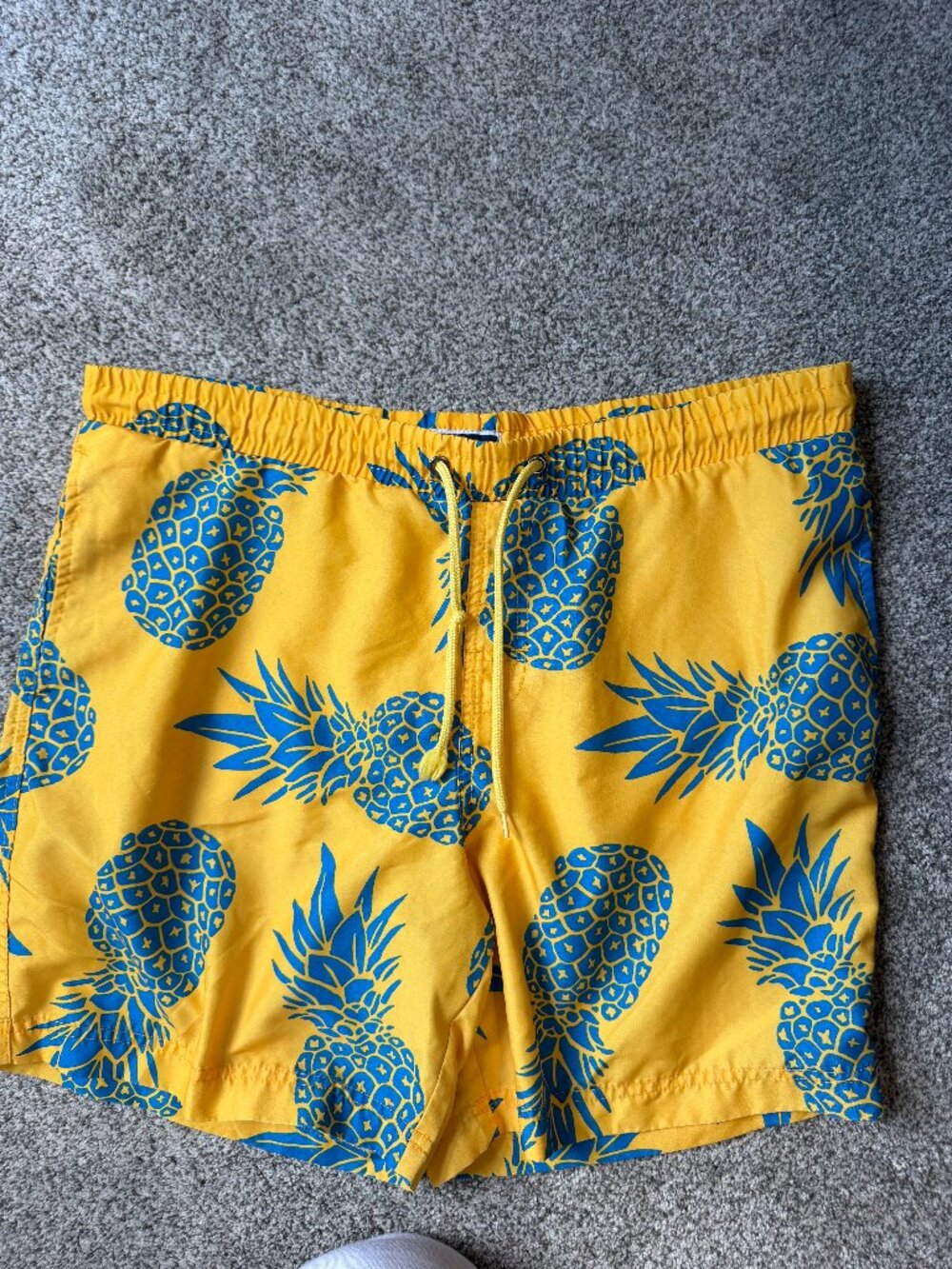 Men's Swim